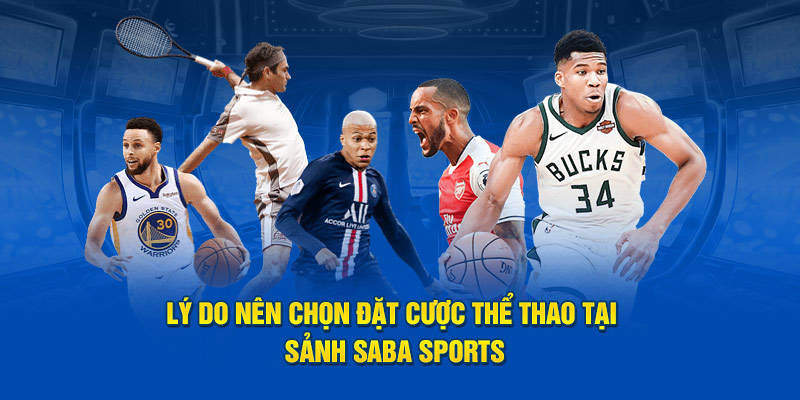 Lý do nên chọn chơi thể thao tại sảnh cược SABA Sports